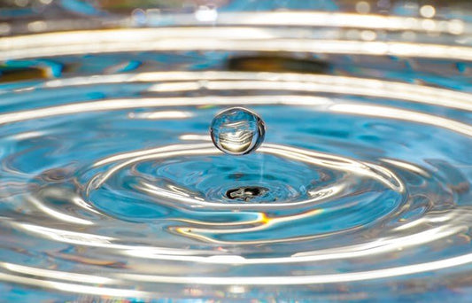 The Ripple Effect of Gratitude: Spreading Joy and Living Well